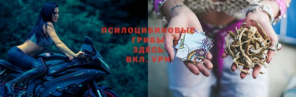 гидра Аркадак