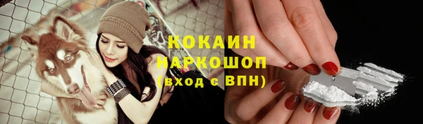 кокс Арсеньев