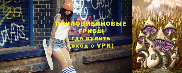 гидра Аркадак