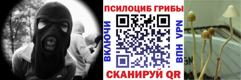 купить наркотик Балей Галлюциногенные грибы ЛСД